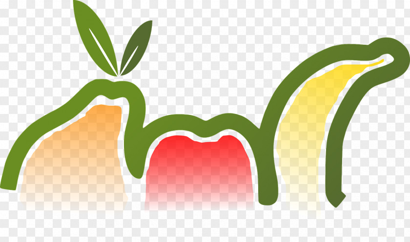 Juice Smoothie Vegetarian Cuisine Clip Art Fruit PNG