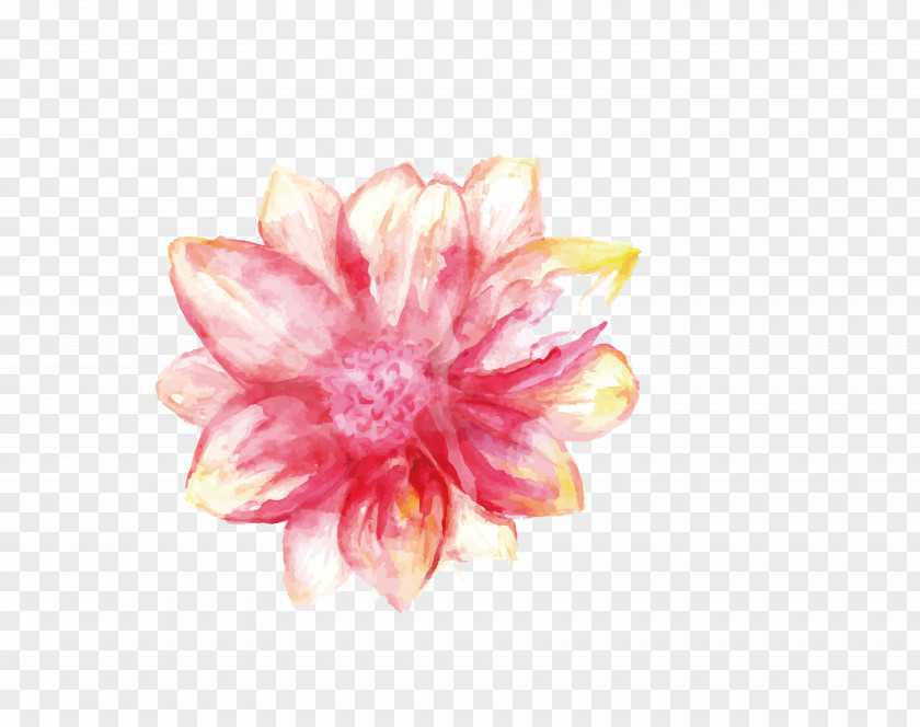 Pink Hand-painted Flowers PNG