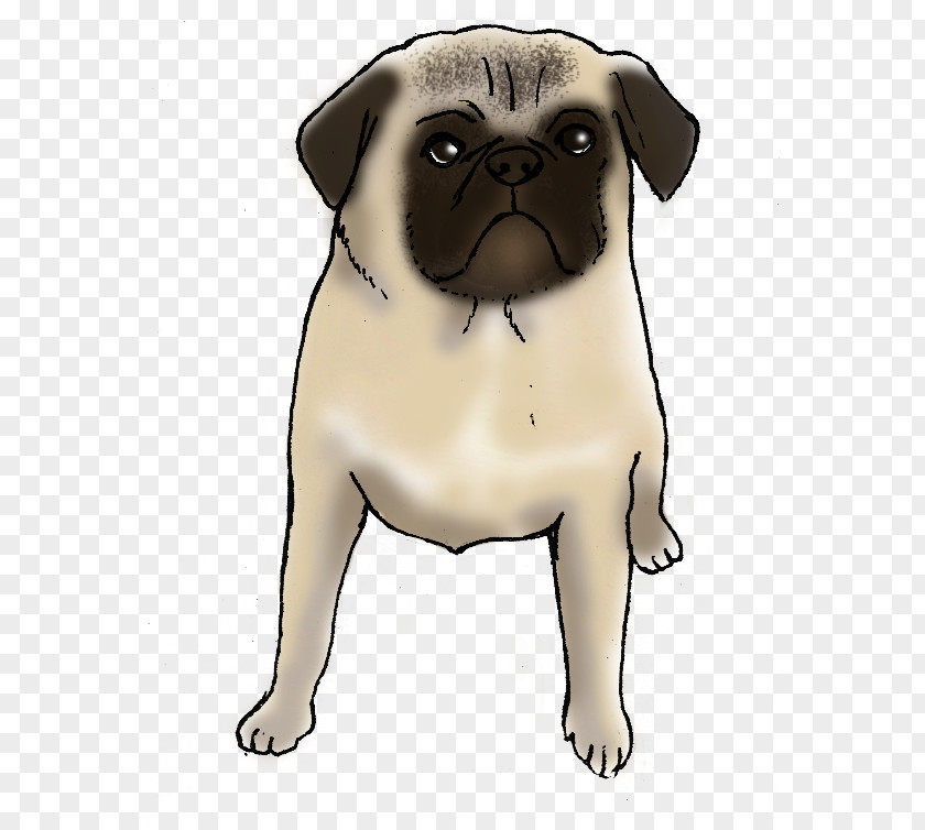 Pug Puppy Dog Breed Companion Toy PNG