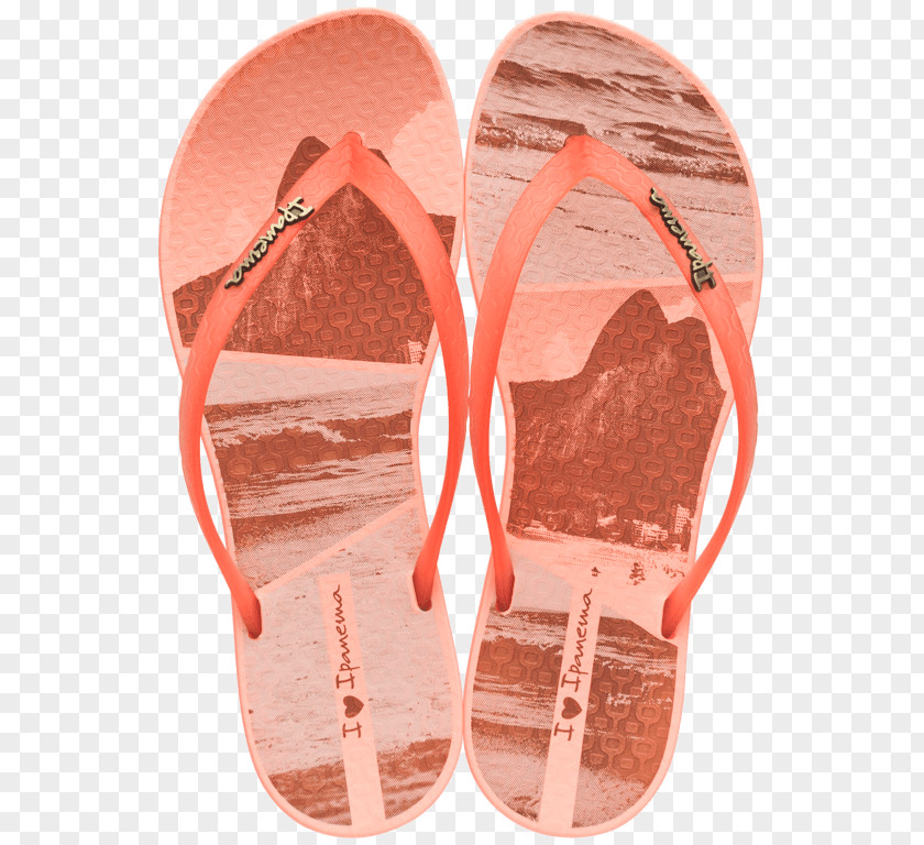Sandal Flip-flops Slipper Shoe One-piece Swimsuit PNG