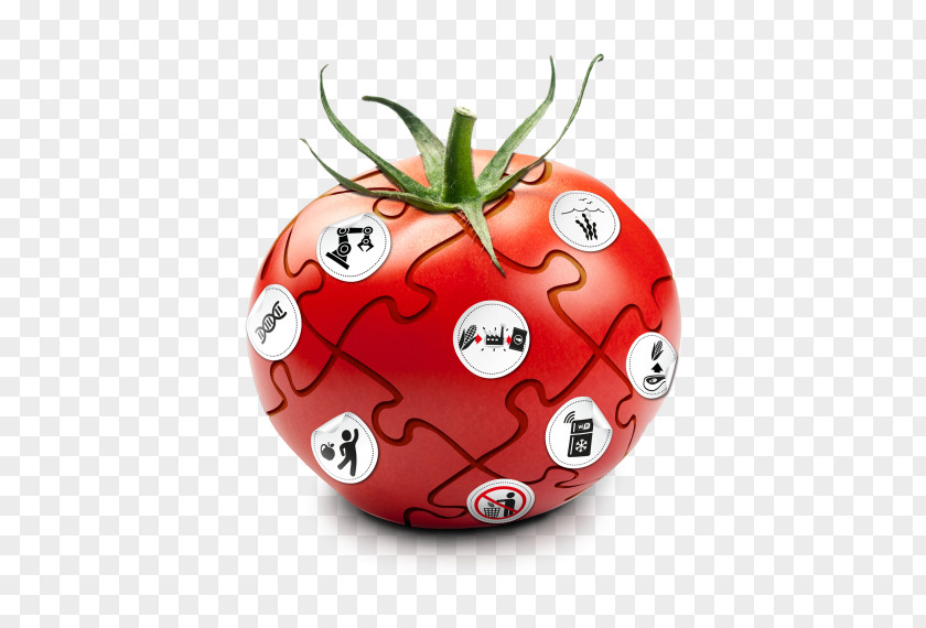 Tomato Christmas Ornament Strawberry PNG