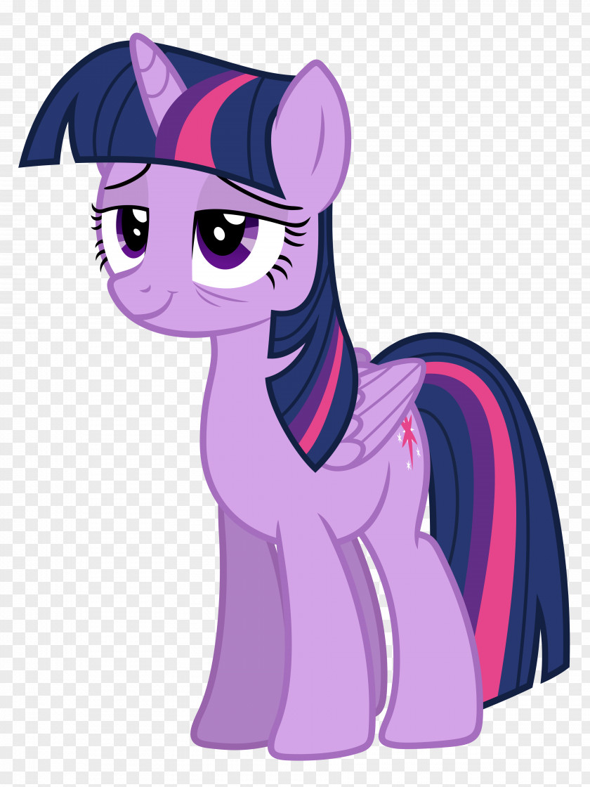 Twilight Sparkle My Little Pony Rarity Rainbow Dash PNG