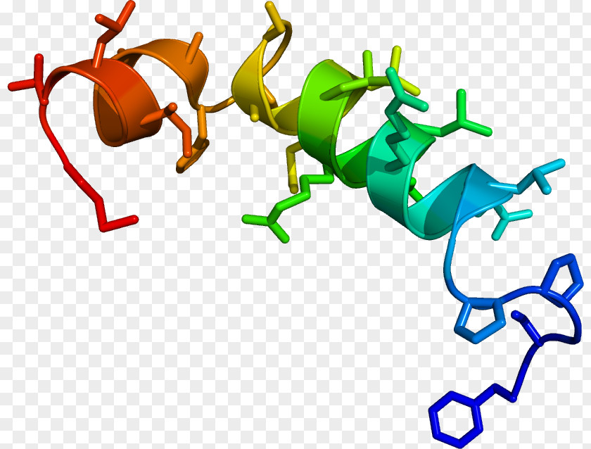 Analytical Chemistry Journal Writing Template Orexin Clip Art Neuropeptide Sleep Narcolepsy PNG