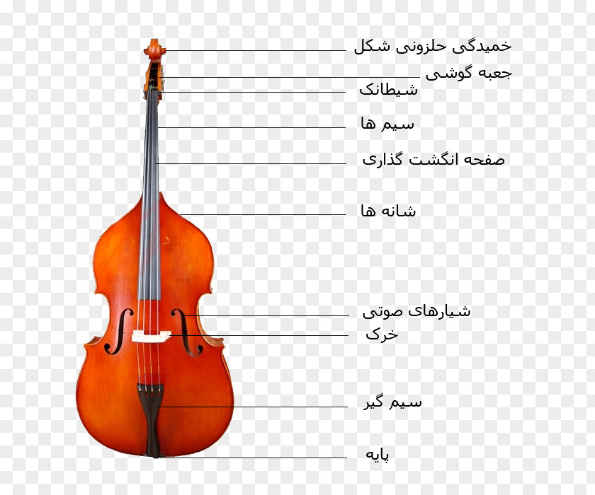 Bass Guitar Violin Double Violone Viola Octobass PNG