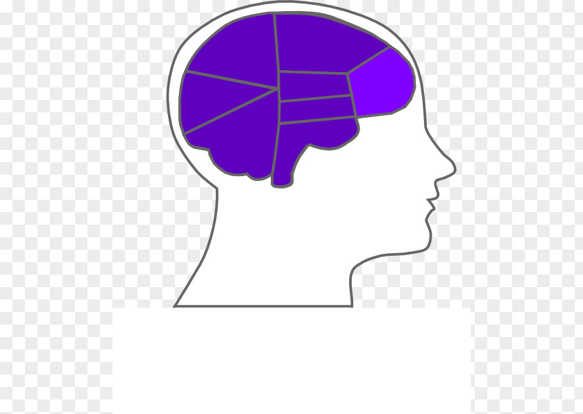 Brain Outline Of The Human Clip Art PNG