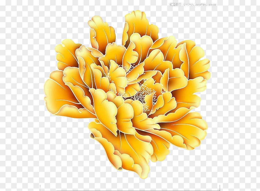 Bright Yellow Peony Moutan Gold PNG