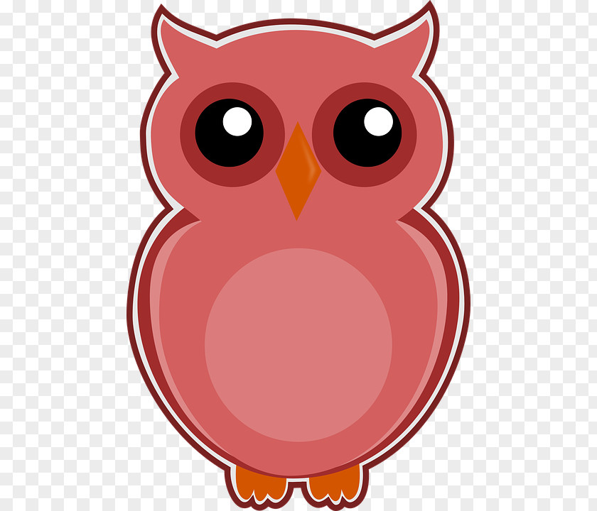 Cartoon Owl Photography Drawing PNG