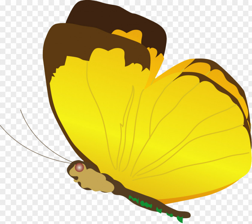 Flowers Elf Butterfly Insect Clip Art PNG