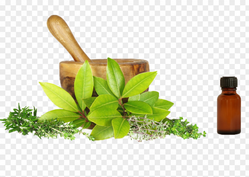 Health Herbalism Naturopathy Alternative Services Medicine PNG