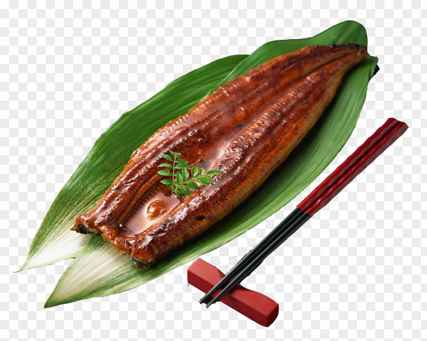 Kabayaki Eel Japanese Cuisine Unagi Sushi PNG Sushi, eel clipart PNG