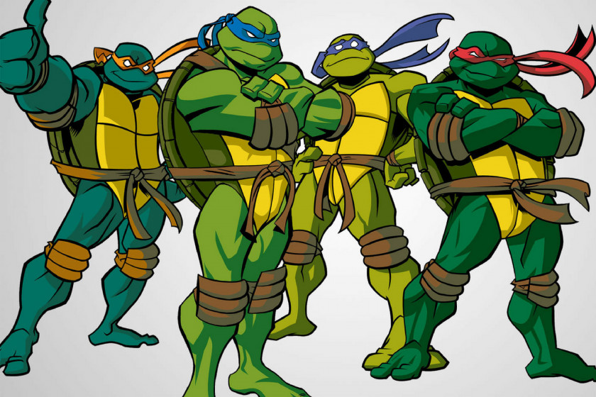 Ninja Turtles Teenage Mutant April O'Neil Donatello Raphael Leonardo PNG