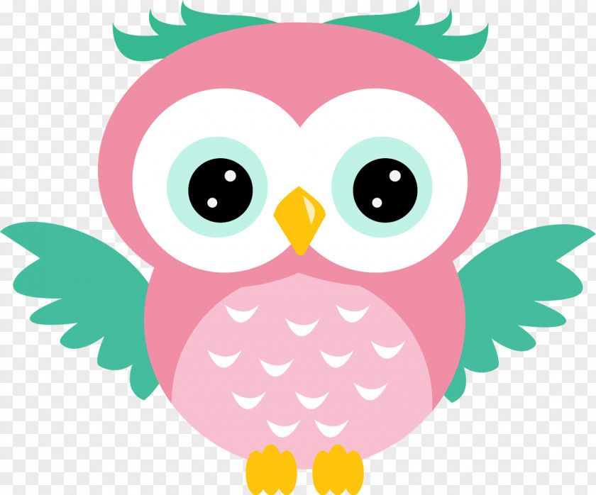 Owl Baby Owls Bird Clip Art PNG