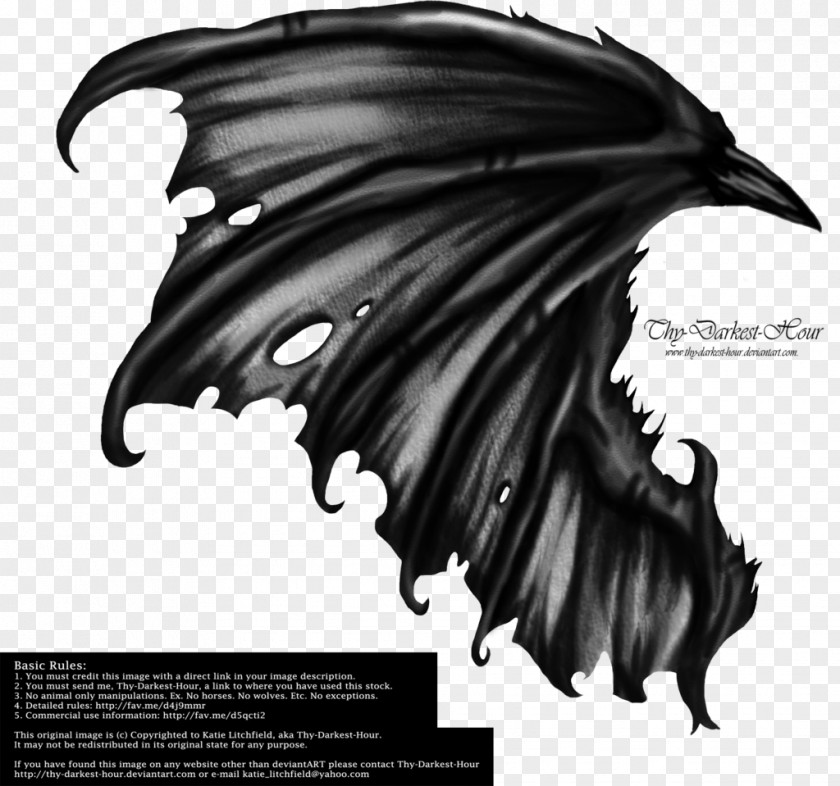 Angel Wing Dragon Demon Clip Art PNG