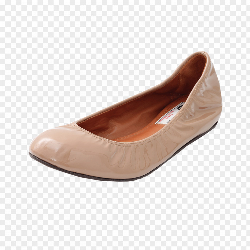 Ballet Slippers Flat Shoe Court Clothing PNG