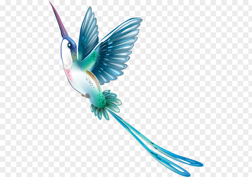 Bird Hummingbird Flower Beak Clip Art PNG