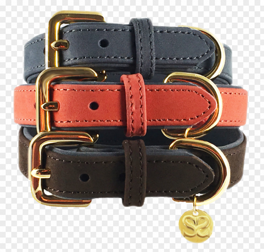 Dog Collar Leash Leather PNG