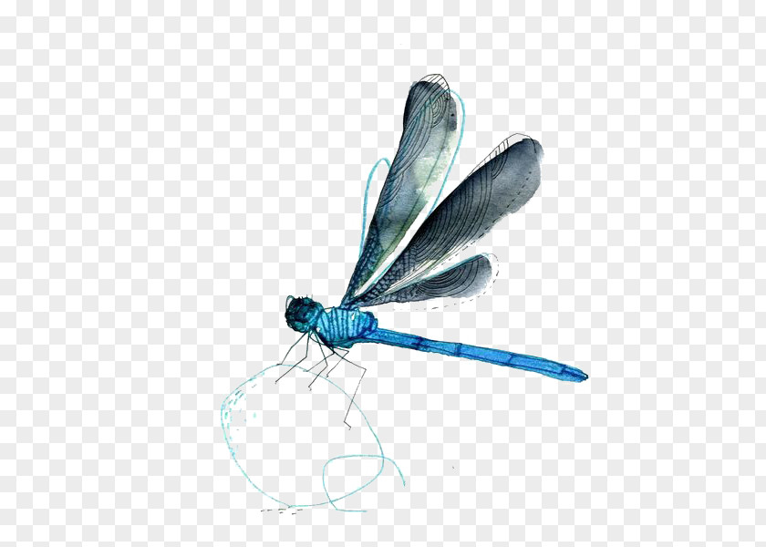 Dragonfly Watercolor Painting Drawing PNG