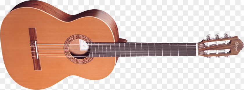 Guitar Image Acoustic Semba Musical Instrument PNG