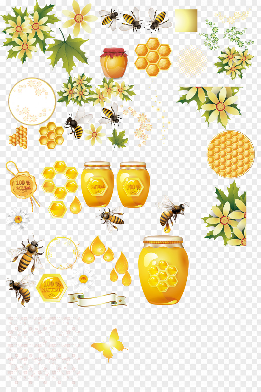 Honey Bee Honeycomb Apis Florea PNG