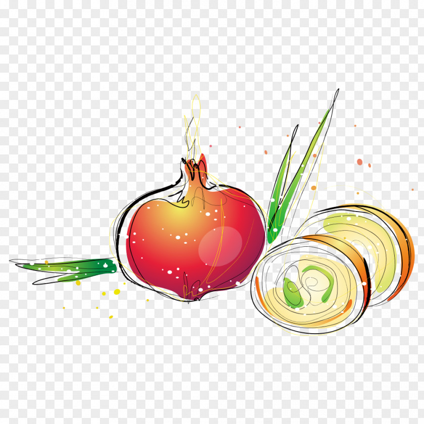 Onion Apple Illustration PNG