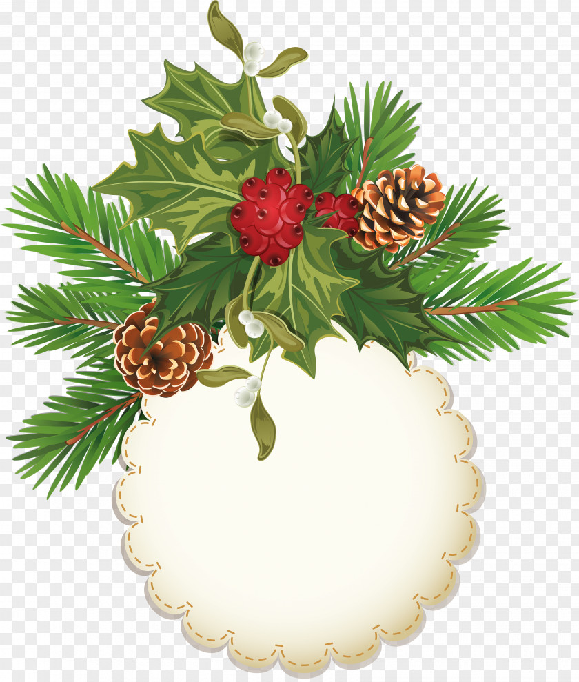 Pine Cone Material Christmas New Year Tree Clip Art PNG
