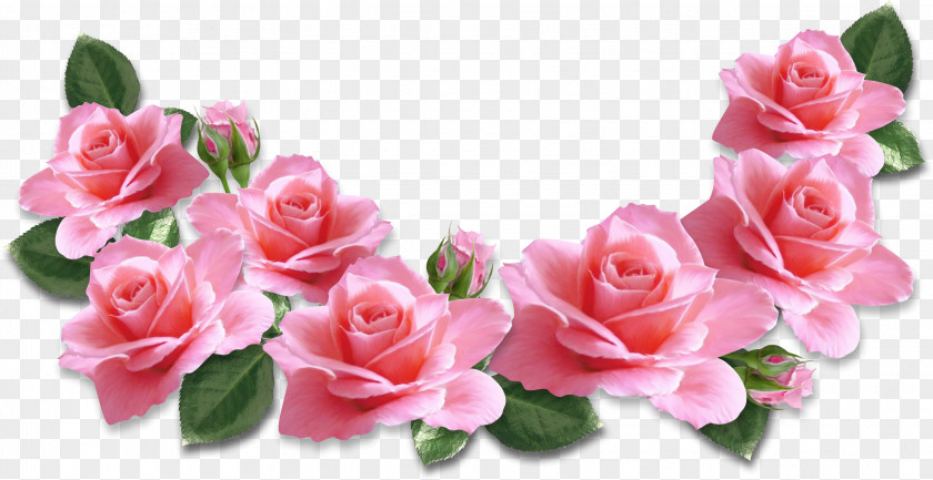 Pink Roses Decoration Clipart Image Rose Flower Clip Art PNG
