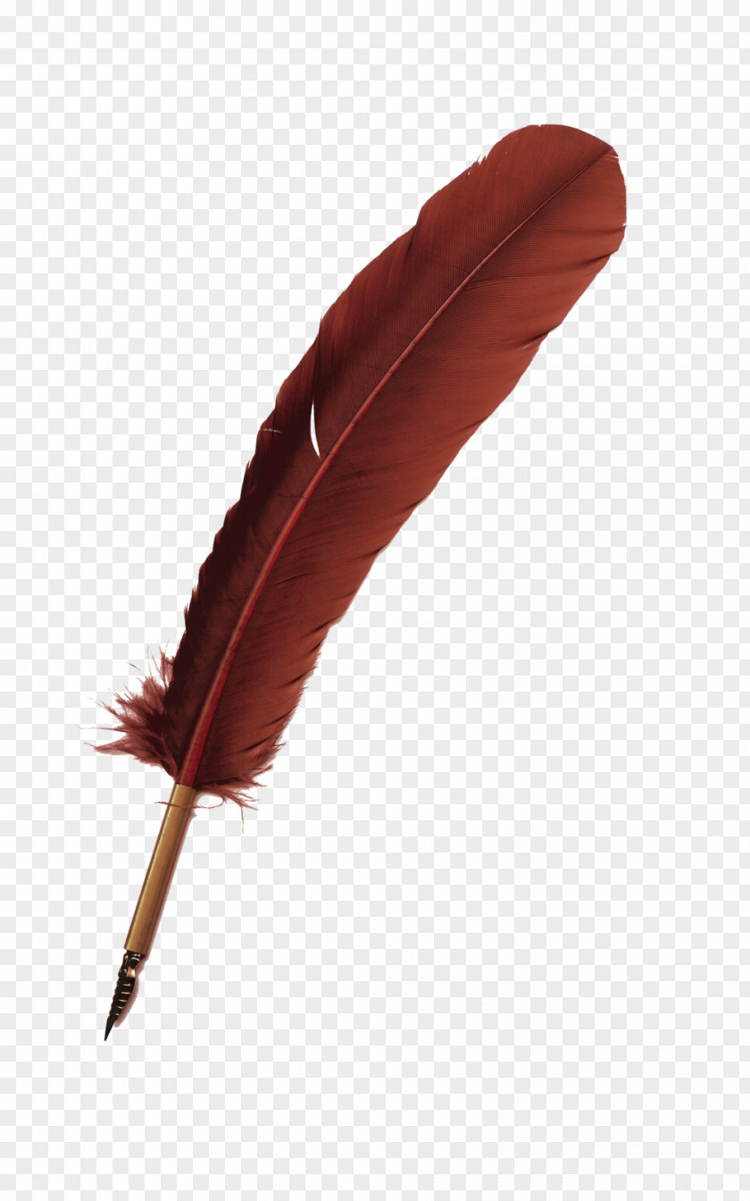 Red Feather Quill Euclidean Vector PNG
