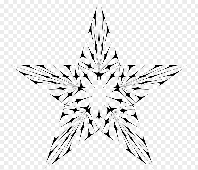Star Black And White PNG