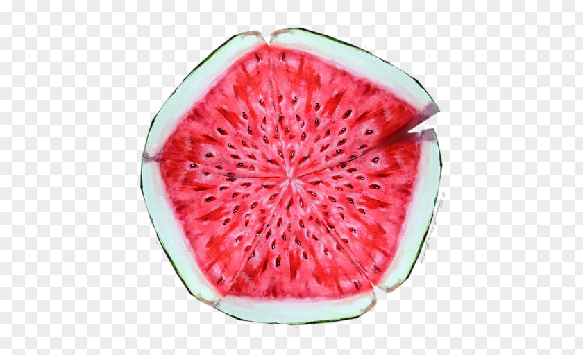 Water Melon Watermelon Cucurbitaceae Food PNG