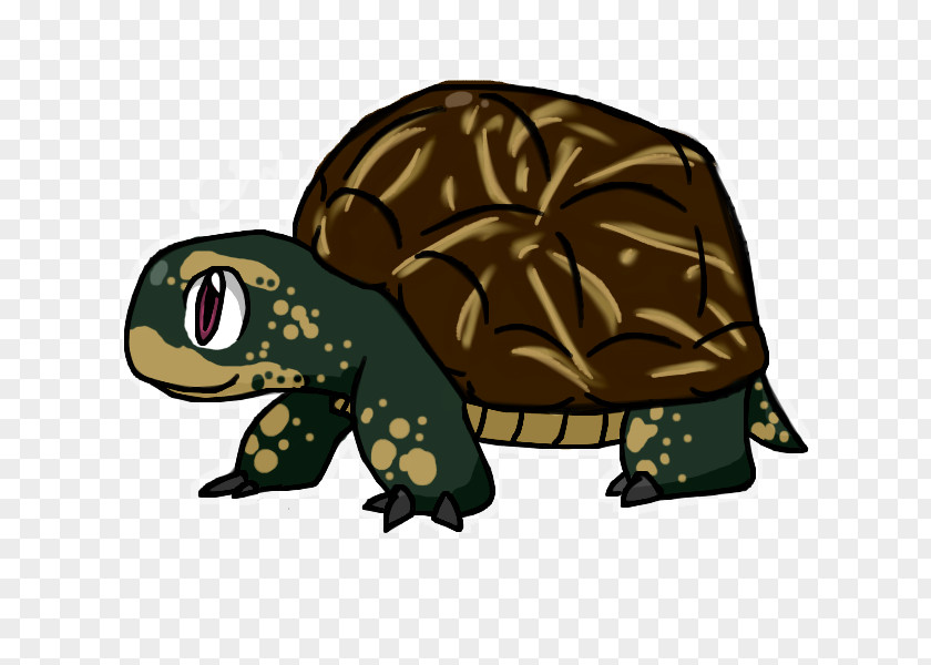 Cartoon Turtle With Glasses Cecil Box Illustration PNG