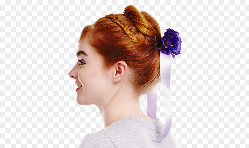 Elsa Anna Frozen Bun Hair Tie PNG