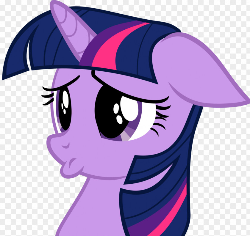 My Little Pony Twilight Sparkle Rarity Rainbow Dash Pinkie Pie PNG