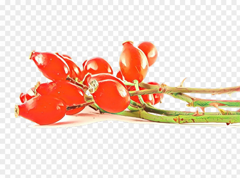 Red Plant Flower Tulip Vegetable PNG