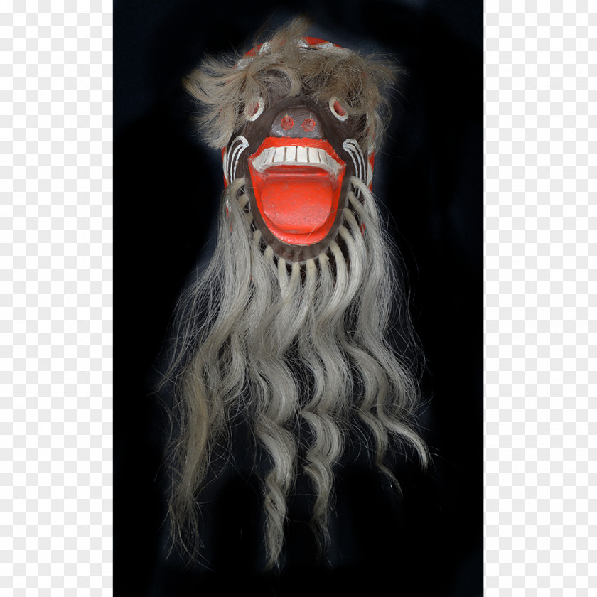 Traditional African Masks Snout PNG