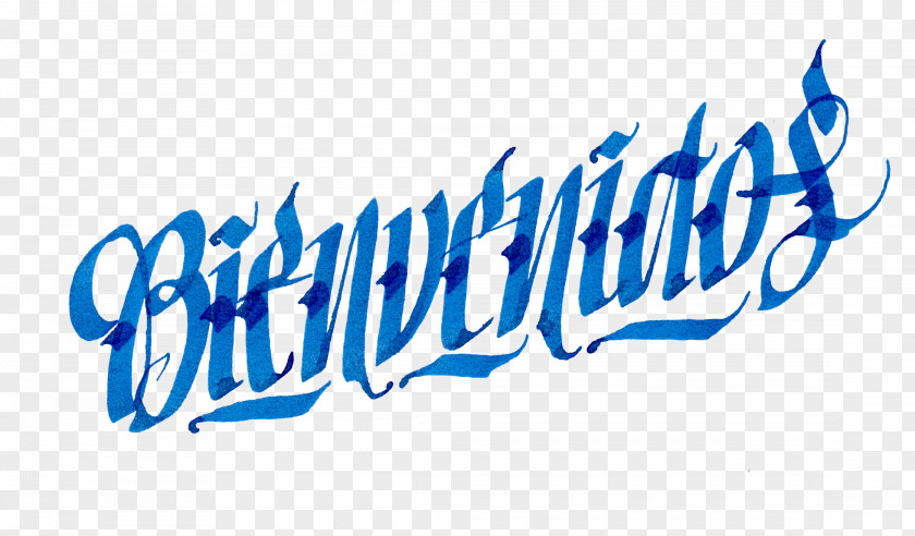 Design Font Logo Lettering Calligraphy Typography PNG