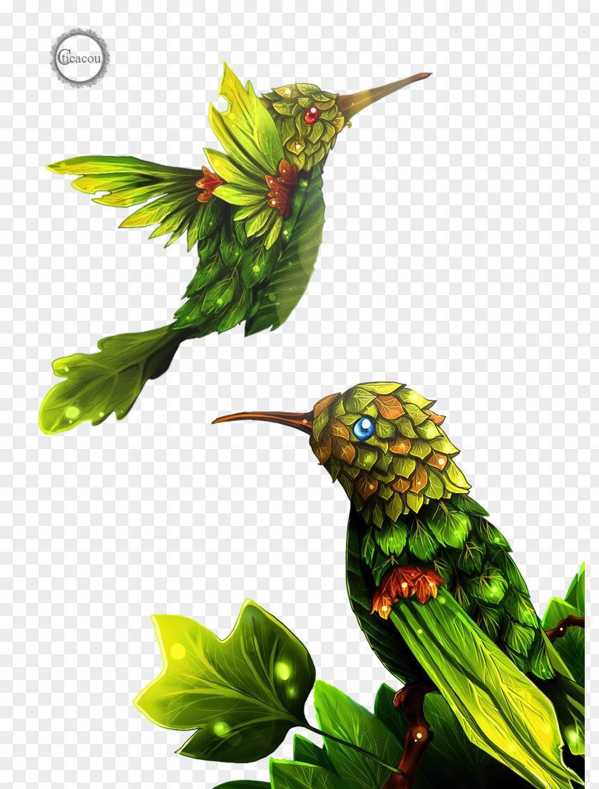 Feuilles Hummingbird Rendering PNG