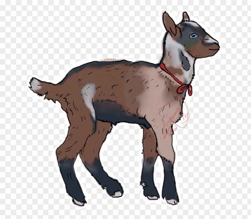 Goat Cattle Horse Horn Mammal PNG