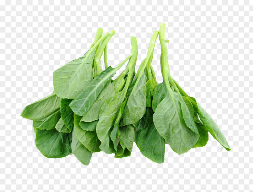 Kale Leaves Chinese Broccoli Brassica Juncea Cuisine Cauliflower PNG