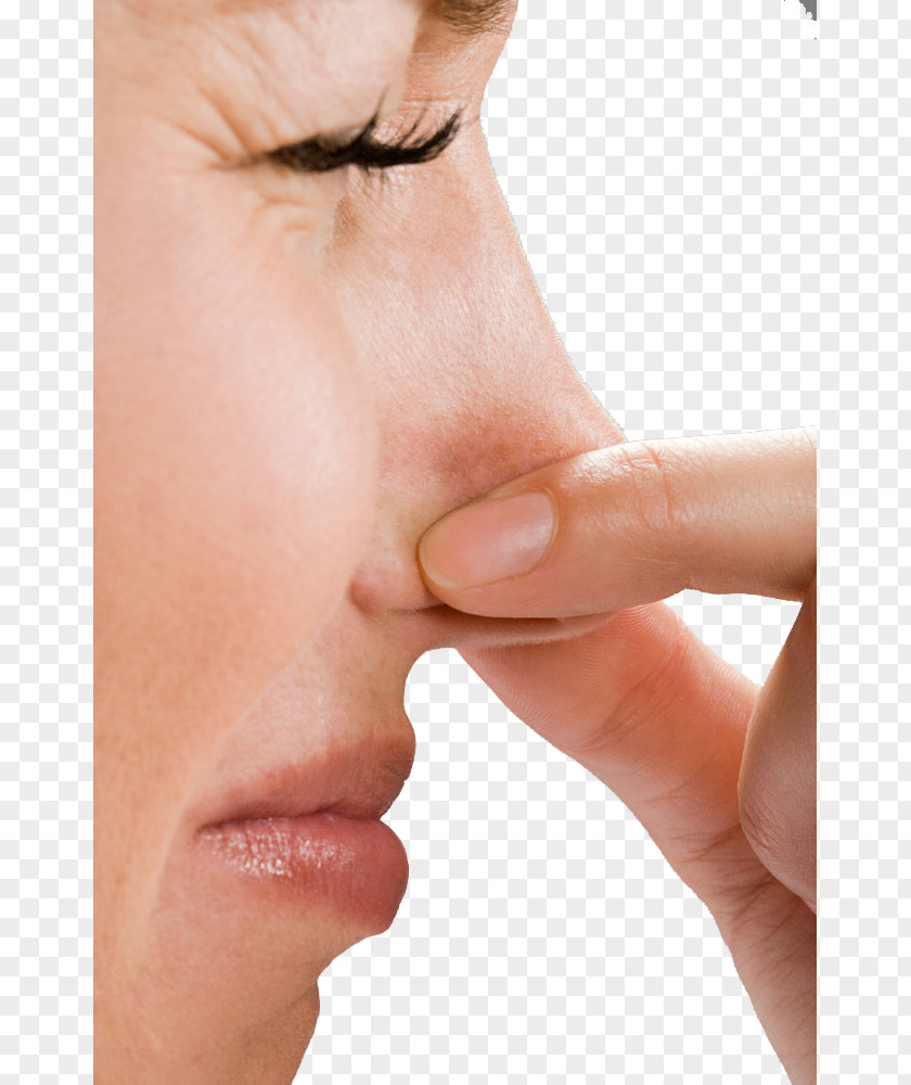 Nose Smell The Taste Of High-definition Buckle Material Nosebleed Disease Woman Euclidean Vector PNG
