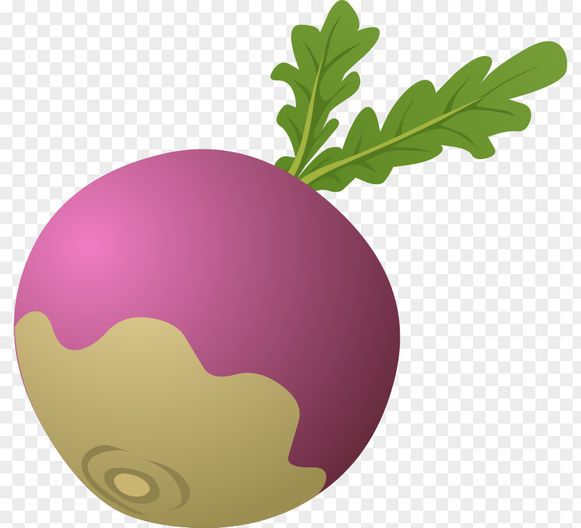 Rub Cliparts The Gigantic Turnip Vegetable Clip Art PNG