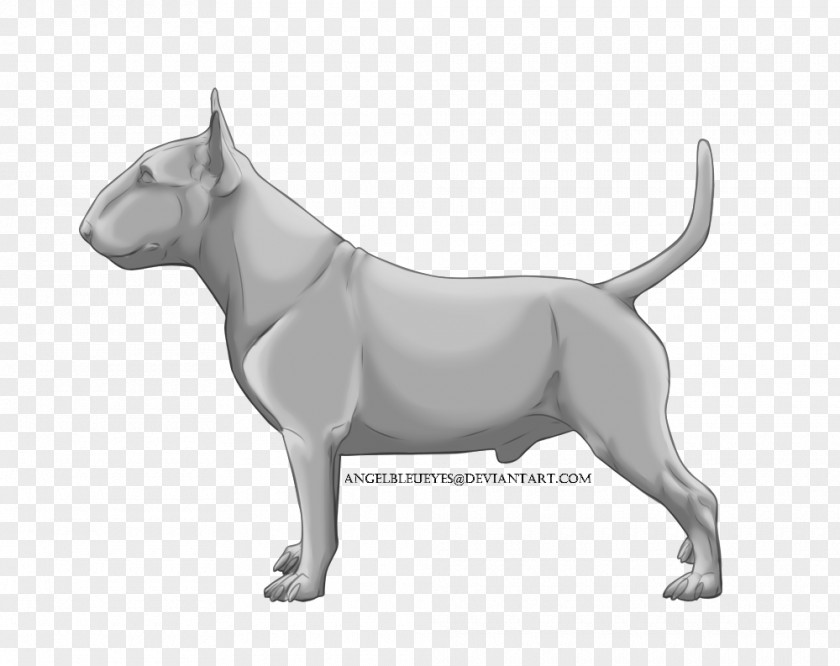 Small Terrier Miniature Bull And Old English Dog Breed PNG