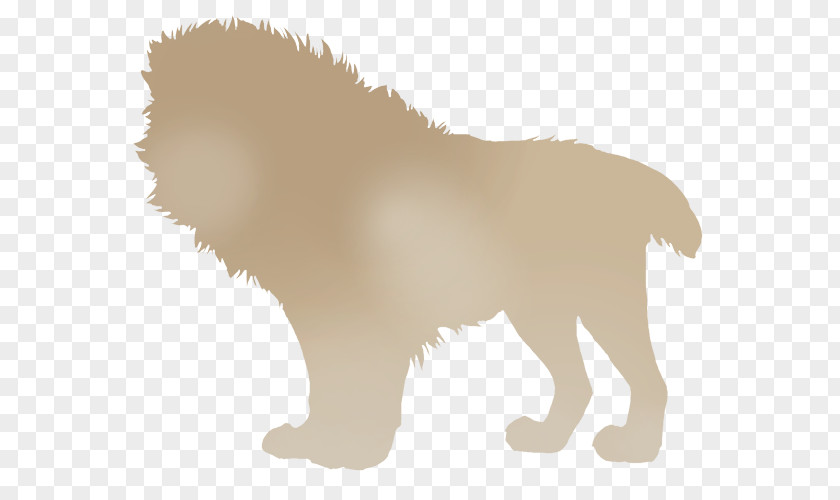 Stone Lion Dog Breed Puppy Felidae Cheetah PNG