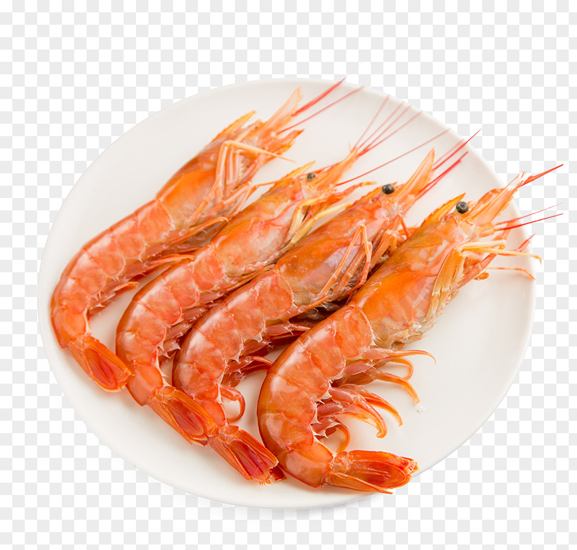 Tmall Seafood Shrimp Pleoticus Muelleri Squid PNG muelleri Squid, clipart PNG