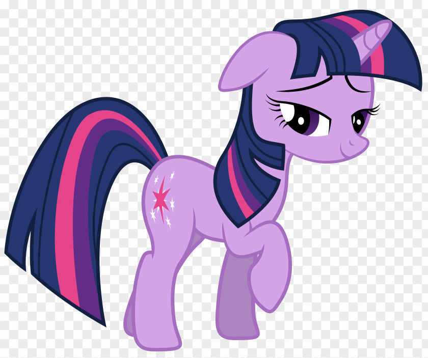 Twilight Sparkle Princess Cadance Pony Rarity Winged Unicorn PNG