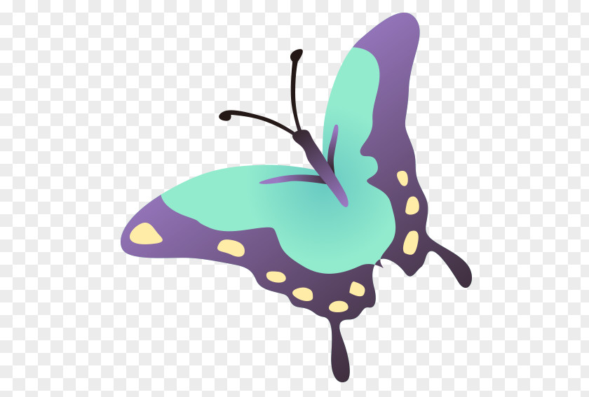 Green Butterfly Drawing PNG