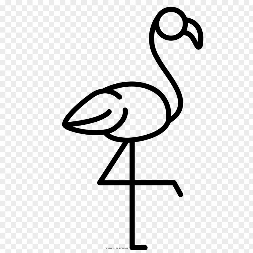 Painting Black And White Flamingos F.C. Greater Flamingo Drawing Beak PNG
