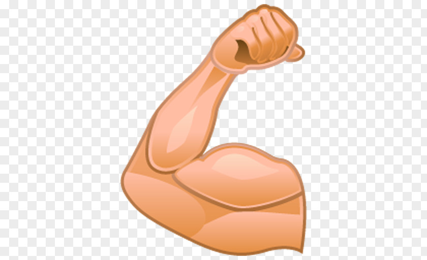 Arm Muscle Hypertrophy Human Body PNG