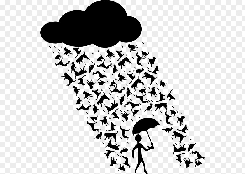 Cats And Dogs & Mouse Rain PNG