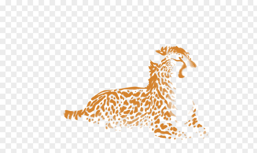 Cheetah Felidae Giraffe Cat Lion PNG