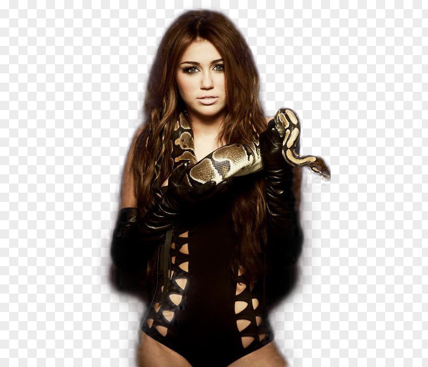 Miley Cyrus Gypsy Heart Tour Can't Be Tamed Album Bangerz PNG